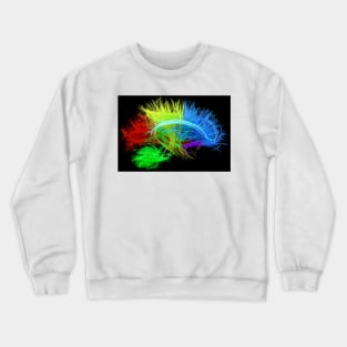 Human brain nerve tracts, illustration, (F035/7627) Crewneck Sweatshirt